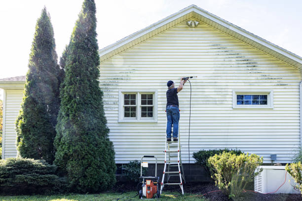 Best Driveway Cleaning and Restoration in Altoona, WI